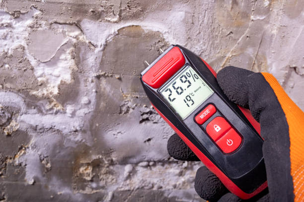 Best Mold Testing  in Bristol, VA