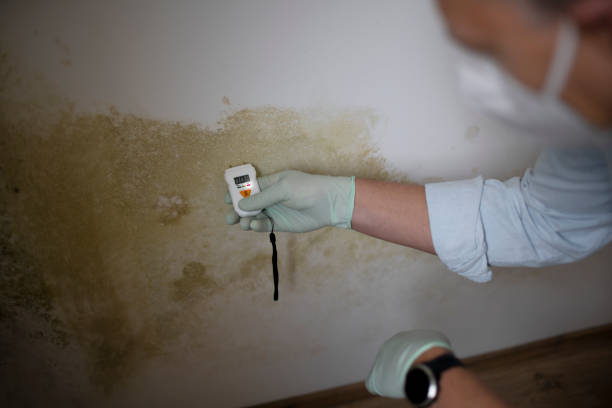 Best Mold Testing  in Bristol, VA